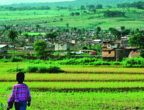 Como a Educação e a Bíblia Inspiram Empreendedorismo Rural